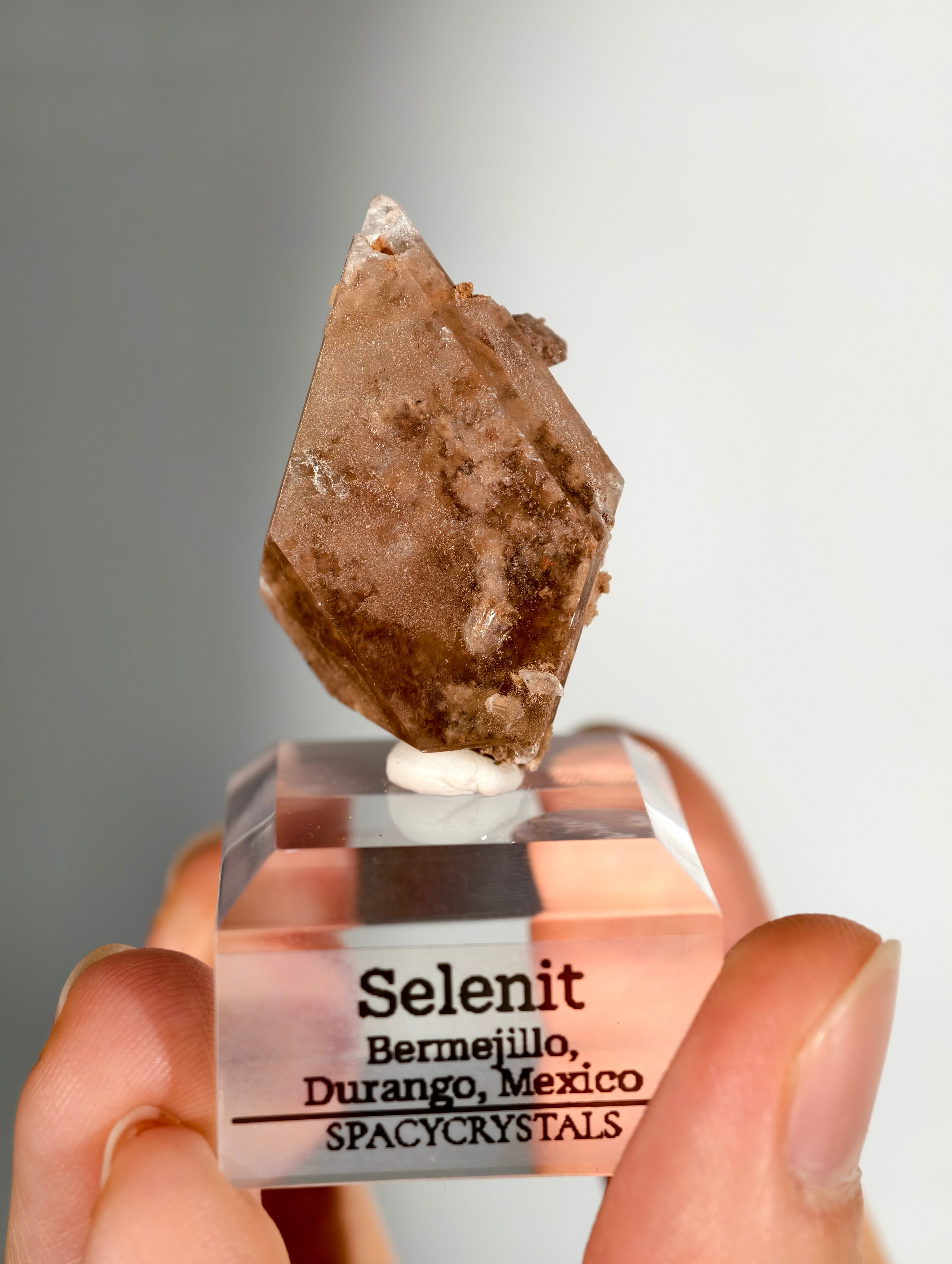 Glasklarer Durango Selenit (Gips) Kristall auf Matrix