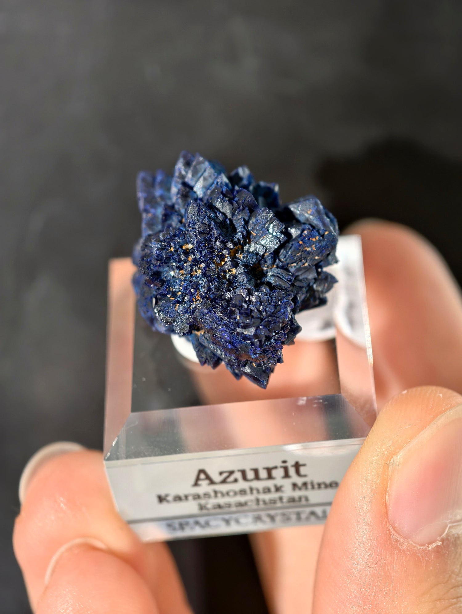 Königsblaue Azurit Kristalle aus Kasachstan