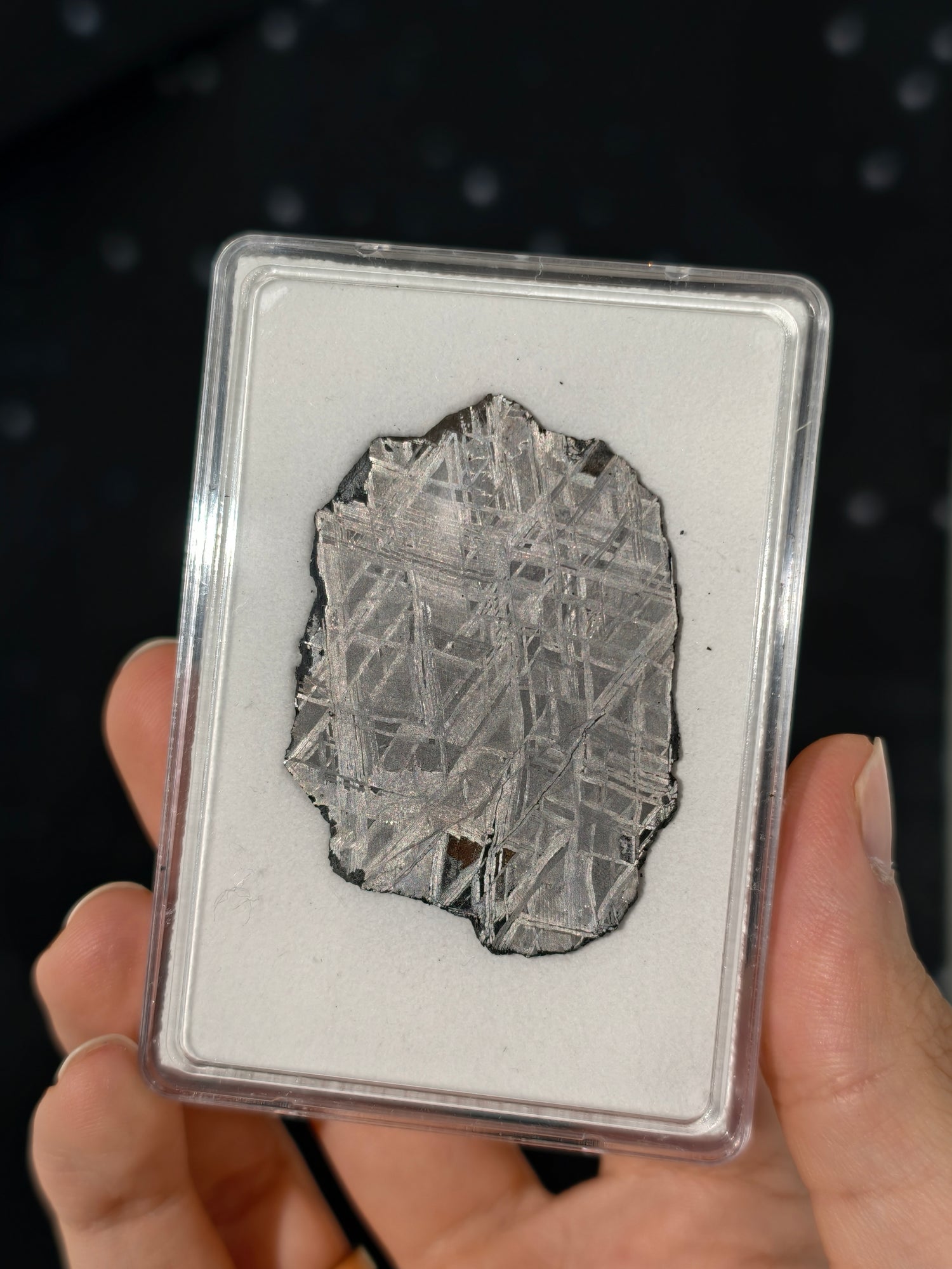 Muonionalusta Meteorit Scheibe 17,8g mit Zertifikat