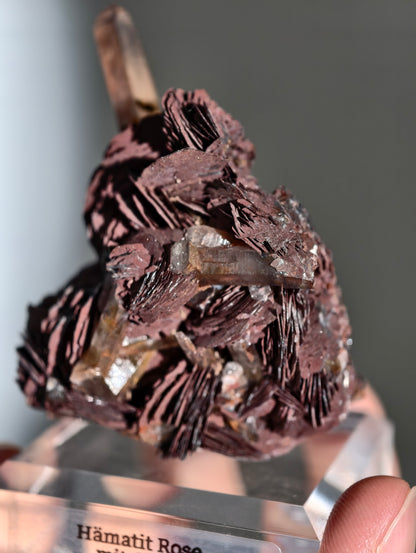 Rote Hämatit Rose mit Hämatitquarz aus Jinlong
