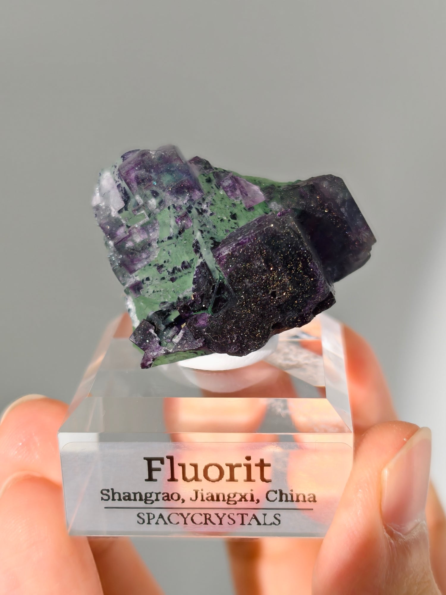 Shangrao Fluorit mit Pyrit: grüner Oktaeder mit lila Würfeln, Neufund!