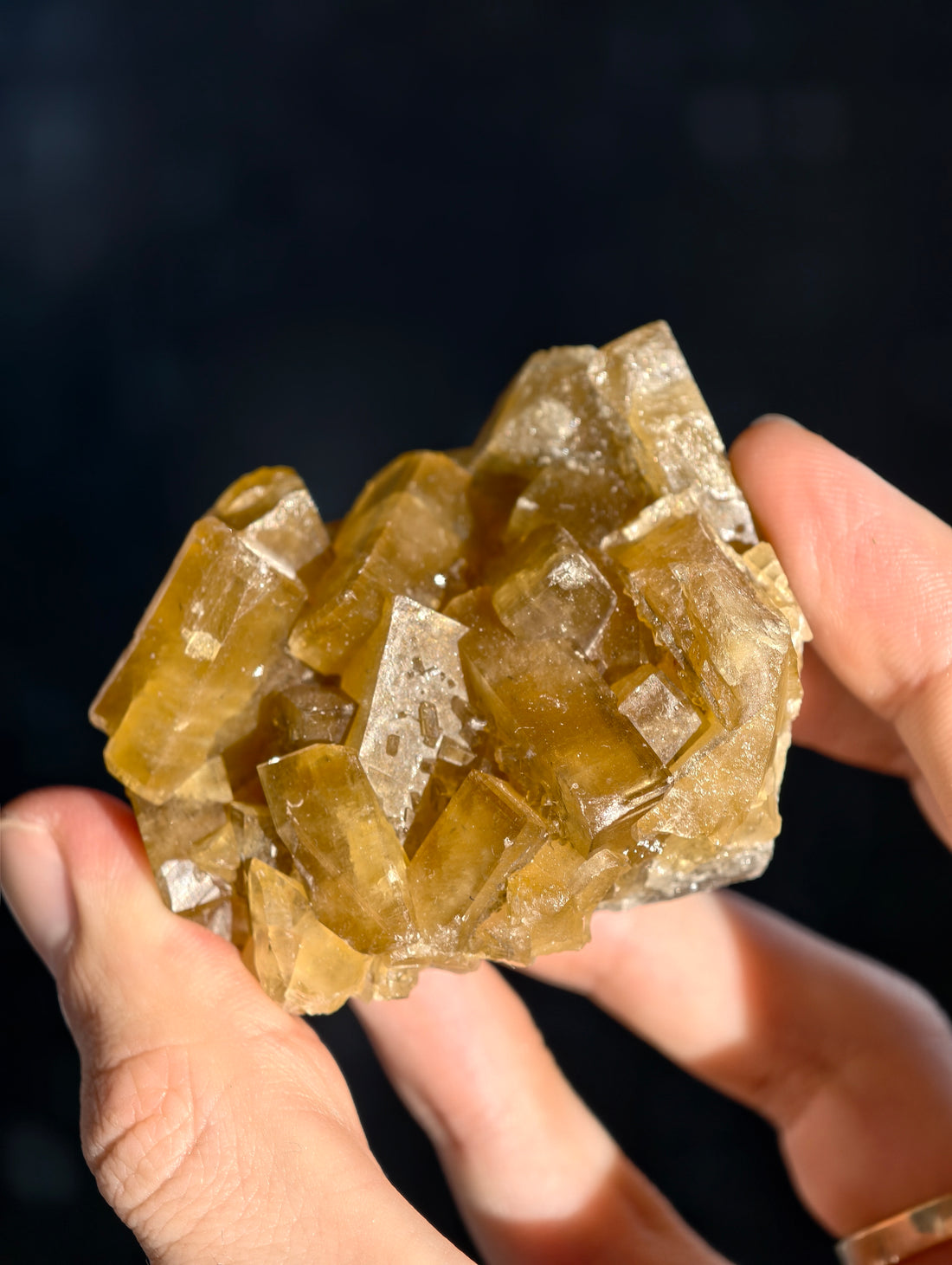 Goldgelber Barit 🍯 aus Jiangxi