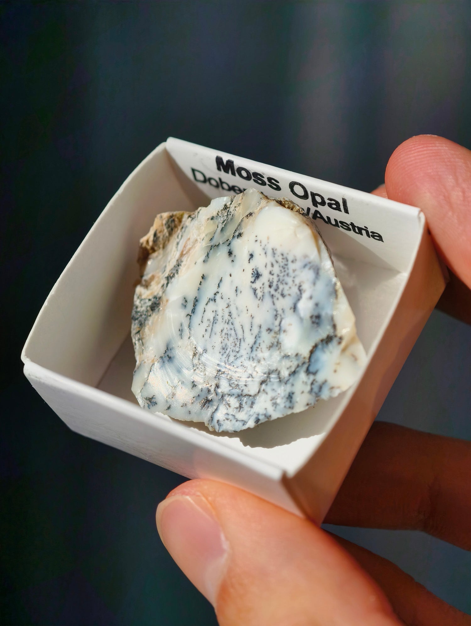 kleiner Moosopal aus Österreich 🇦🇹