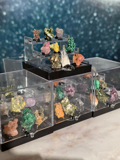 Specimen Box Set (Miniatursammlung)