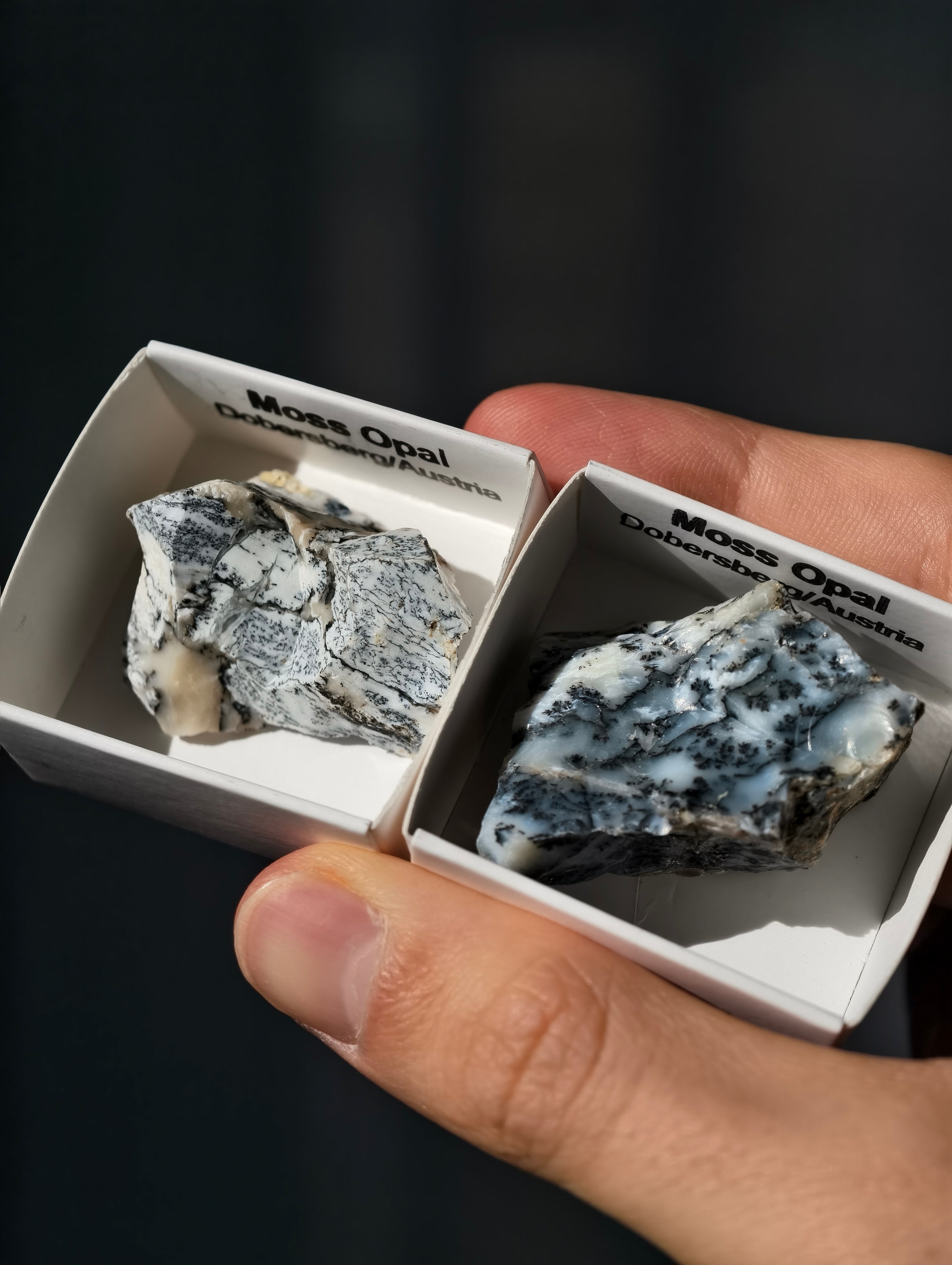 kleiner Moosopal aus Österreich 🇦🇹