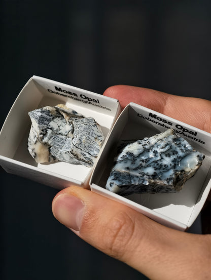 kleiner Moosopal aus Österreich 🇦🇹