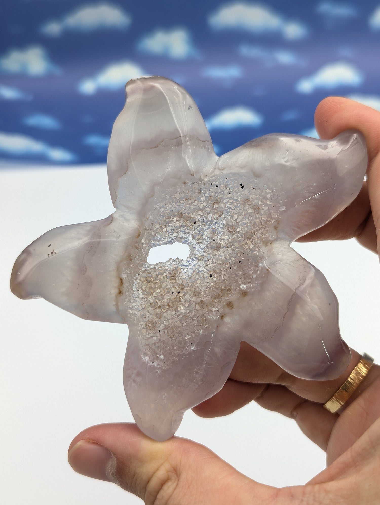 Achat Seestern mit Kristall Druse