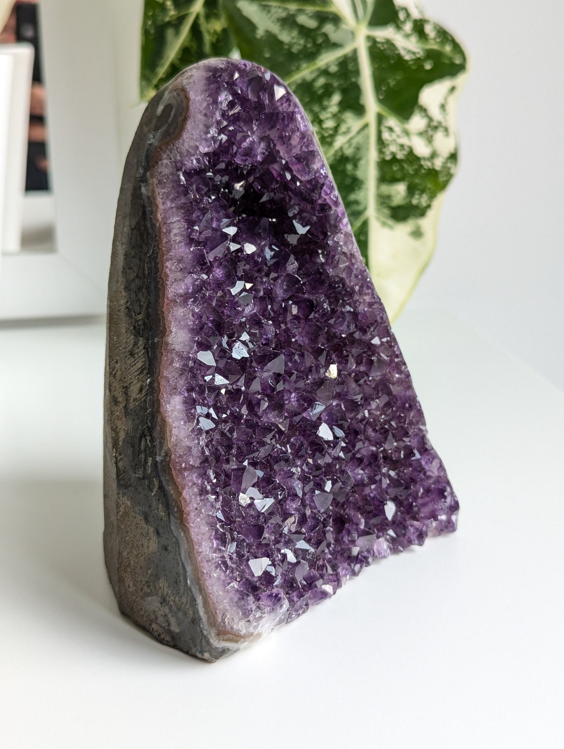 Amethyst Druse AA-Qualität aus Uruguay