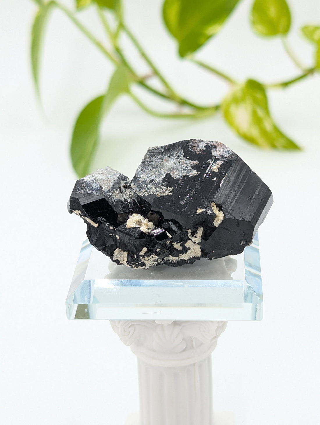 Schwarzer Turmalin (Schörl) aus Erongo IV