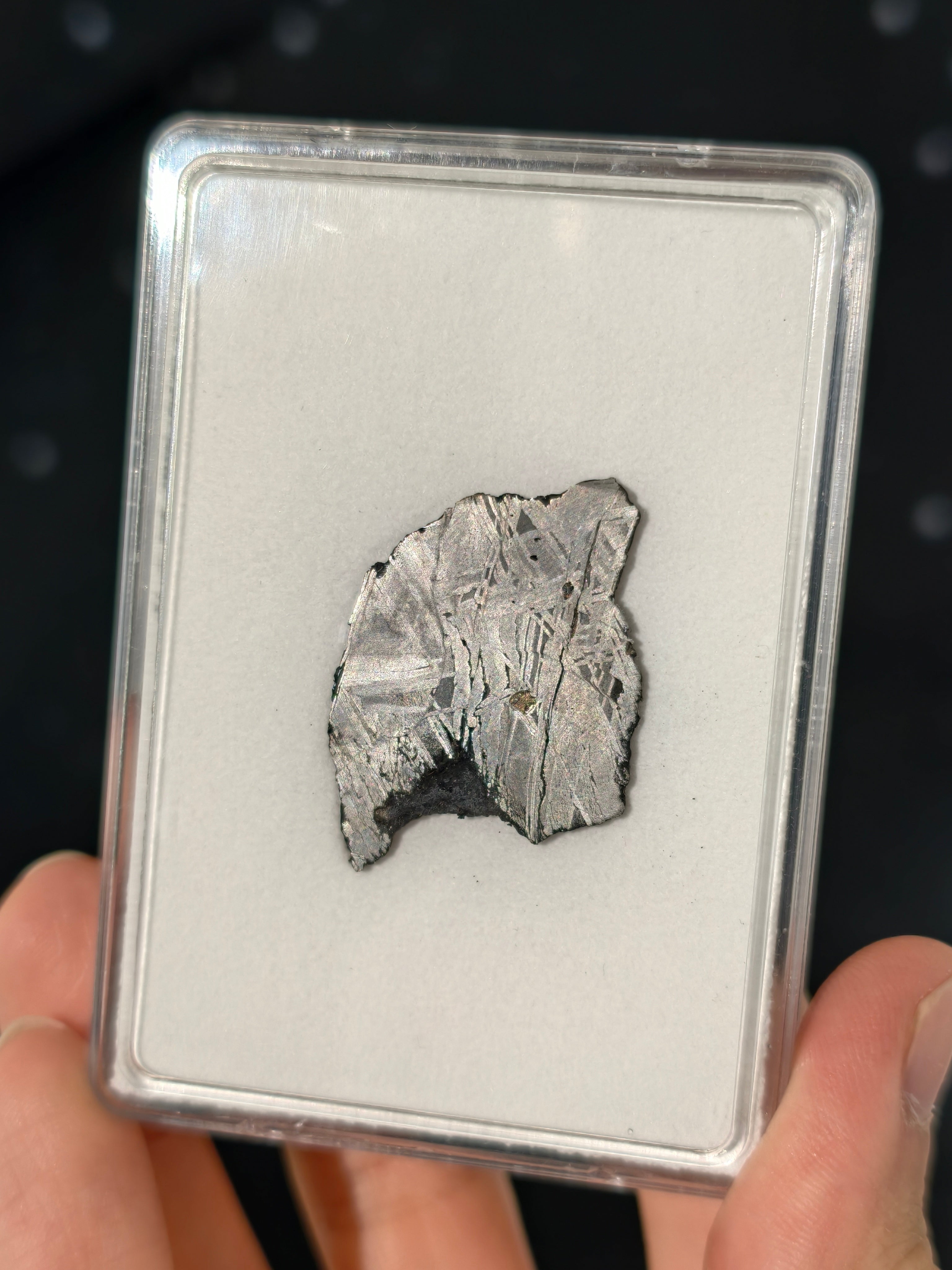 Muonionalusta Meteorit Scheibe 6,6g mit Zertifikat