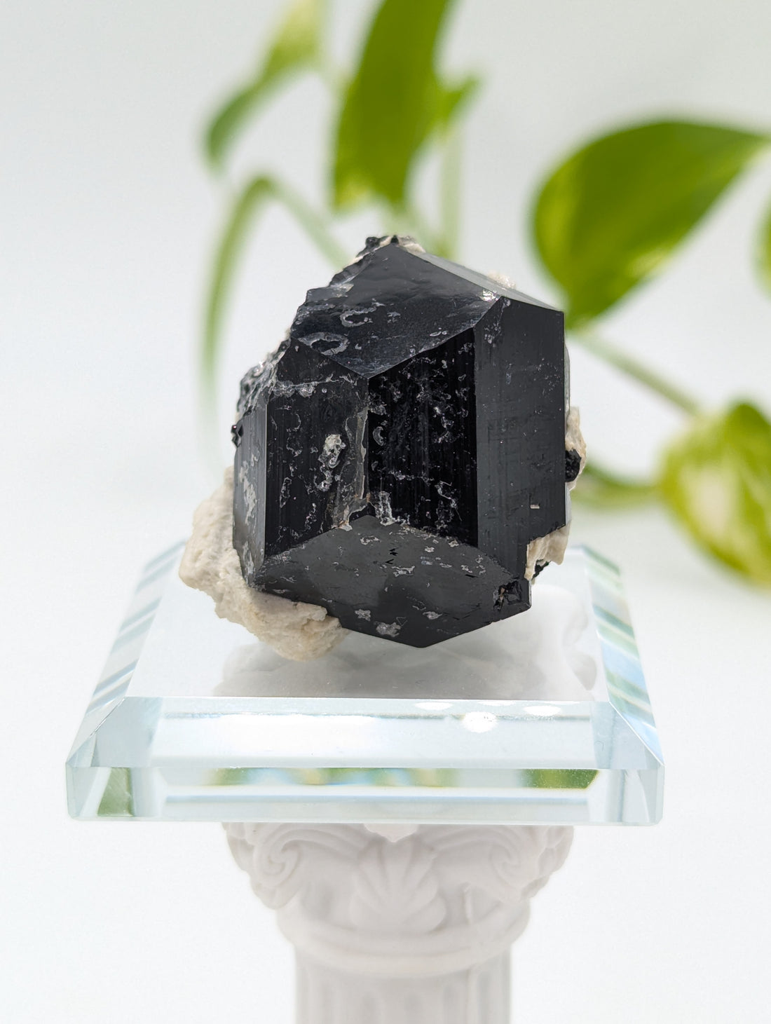 Schwarzer Turmalin (Schörl) aus Erongo II