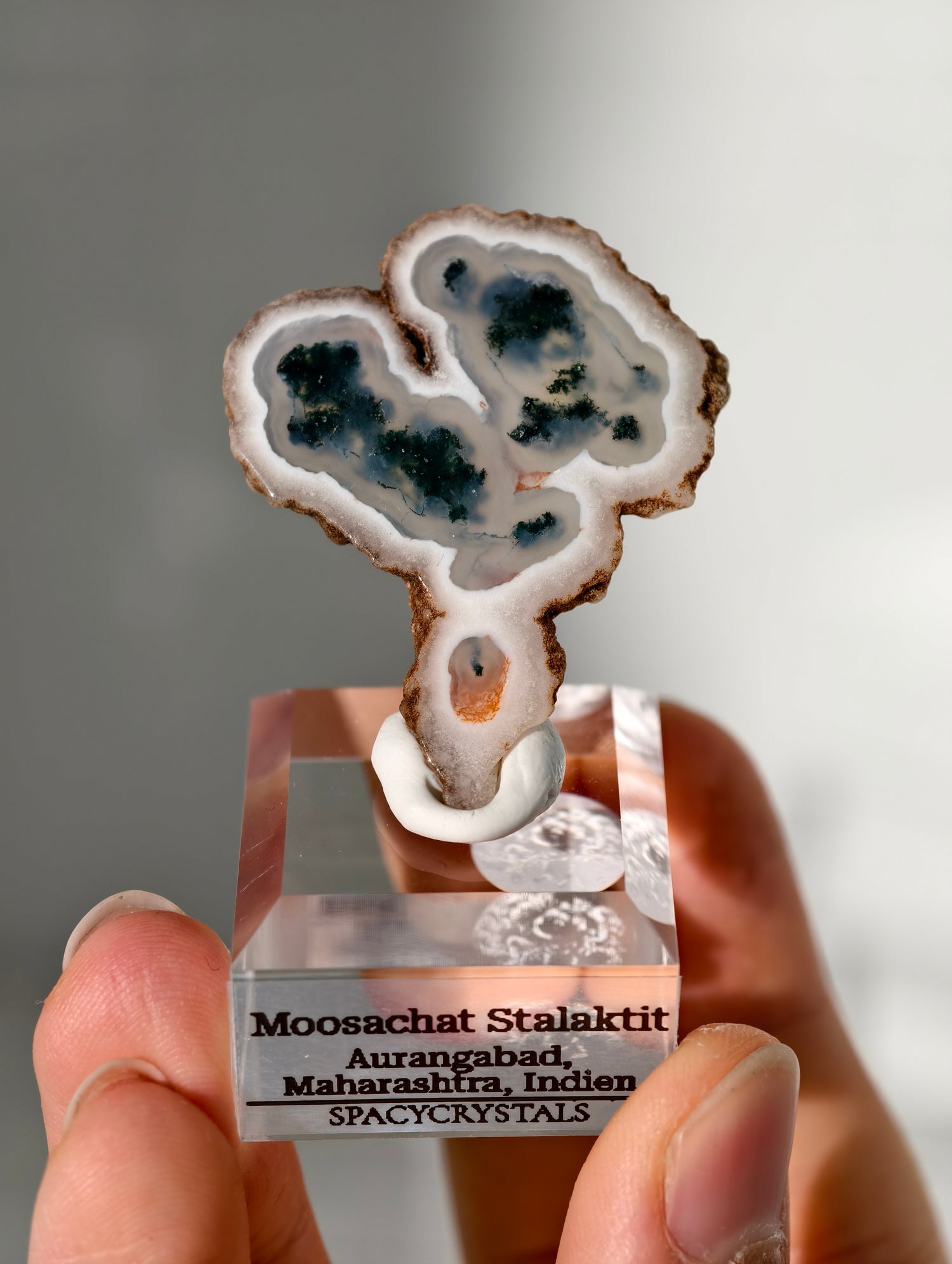 Moosachat Stalaktit Scheiben aus Indien (größer)