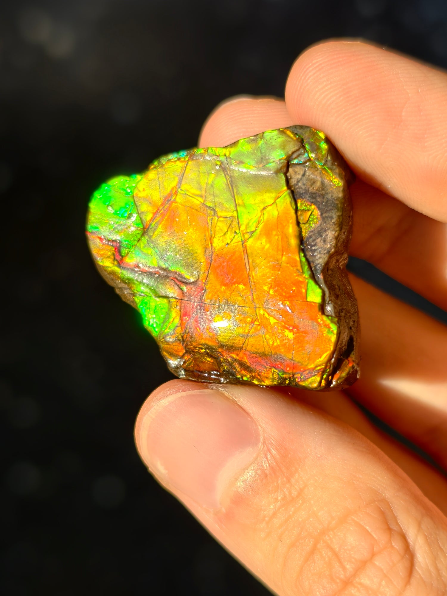 Ammolit Stück aus Kanada