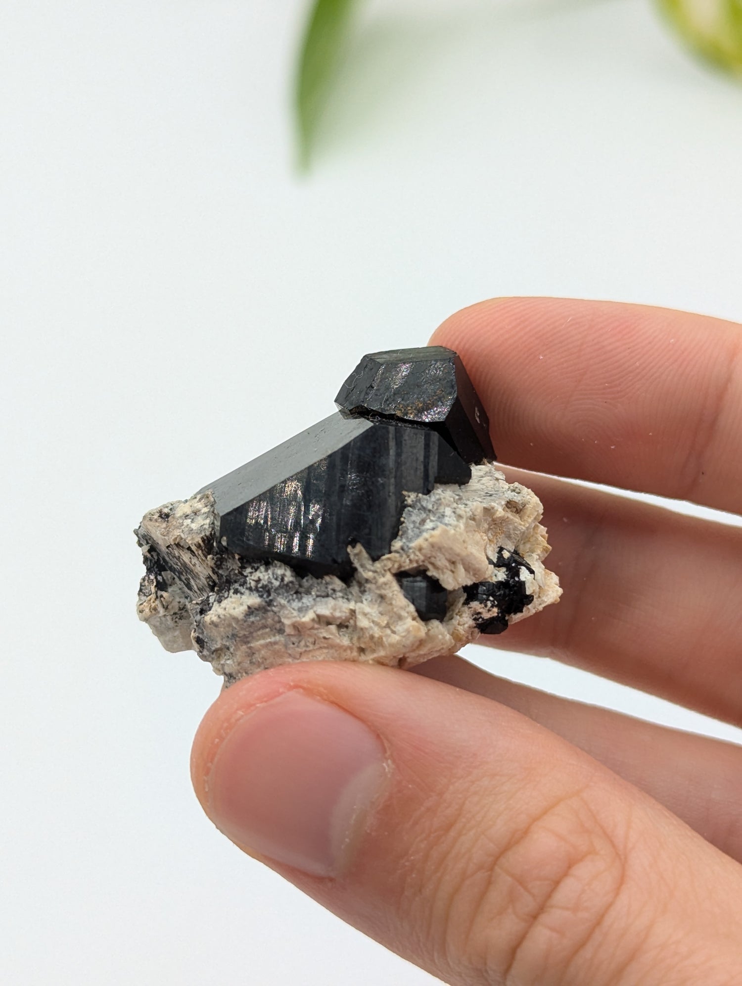 Schwarzer Turmalin (Schörl) aus Erongo III