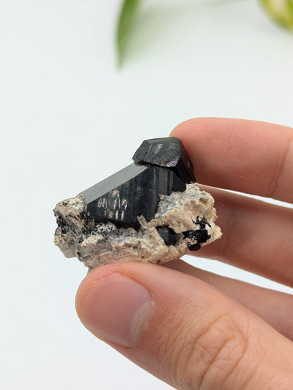 Schwarzer Turmalin (Schörl) aus Erongo III