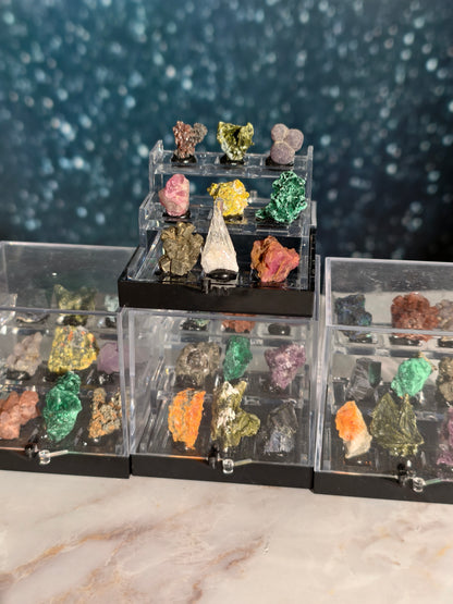 Specimen Box Set (Miniatursammlung)