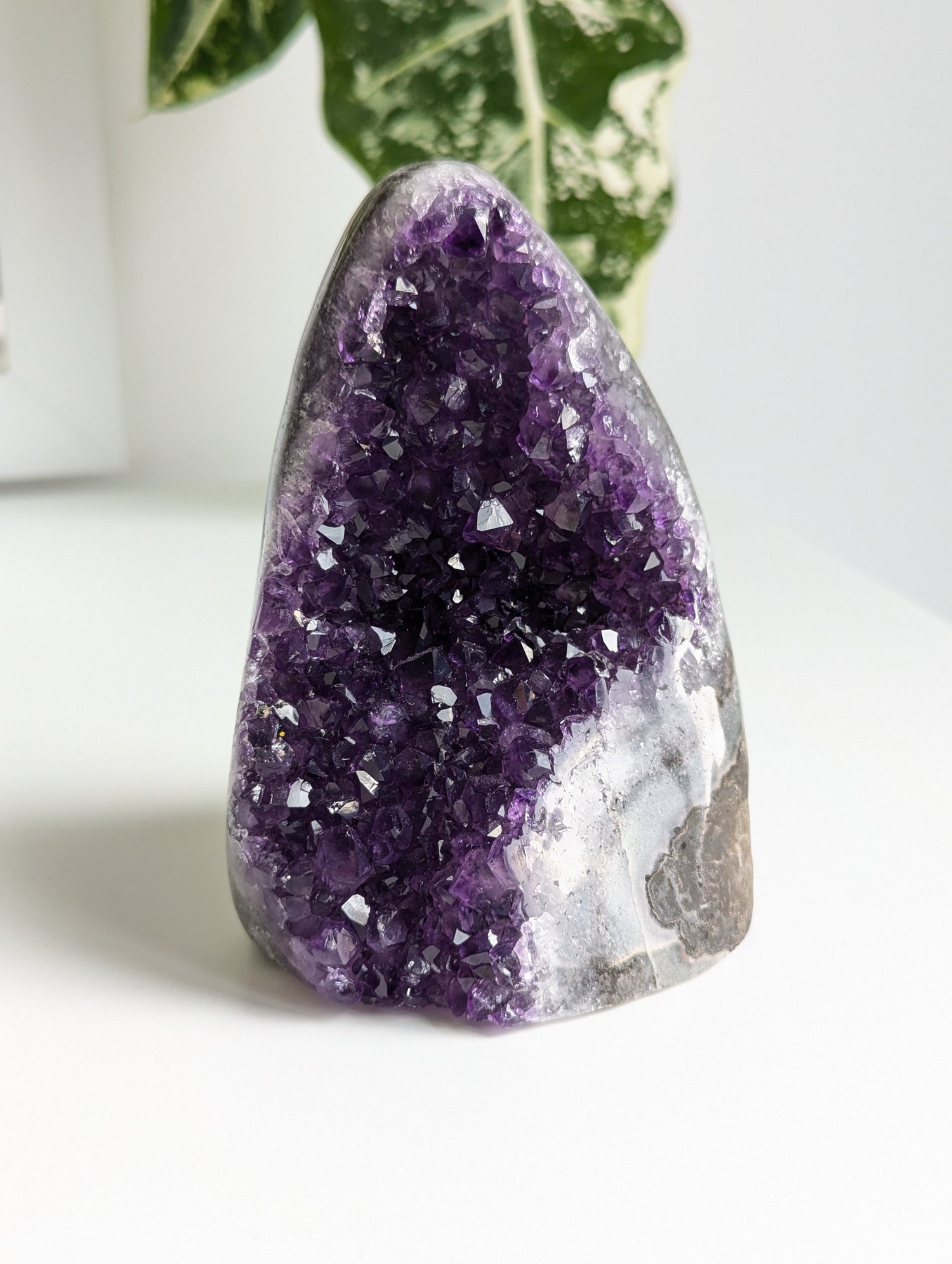 Amethyst Druse AA-Qualität aus Uruguay I