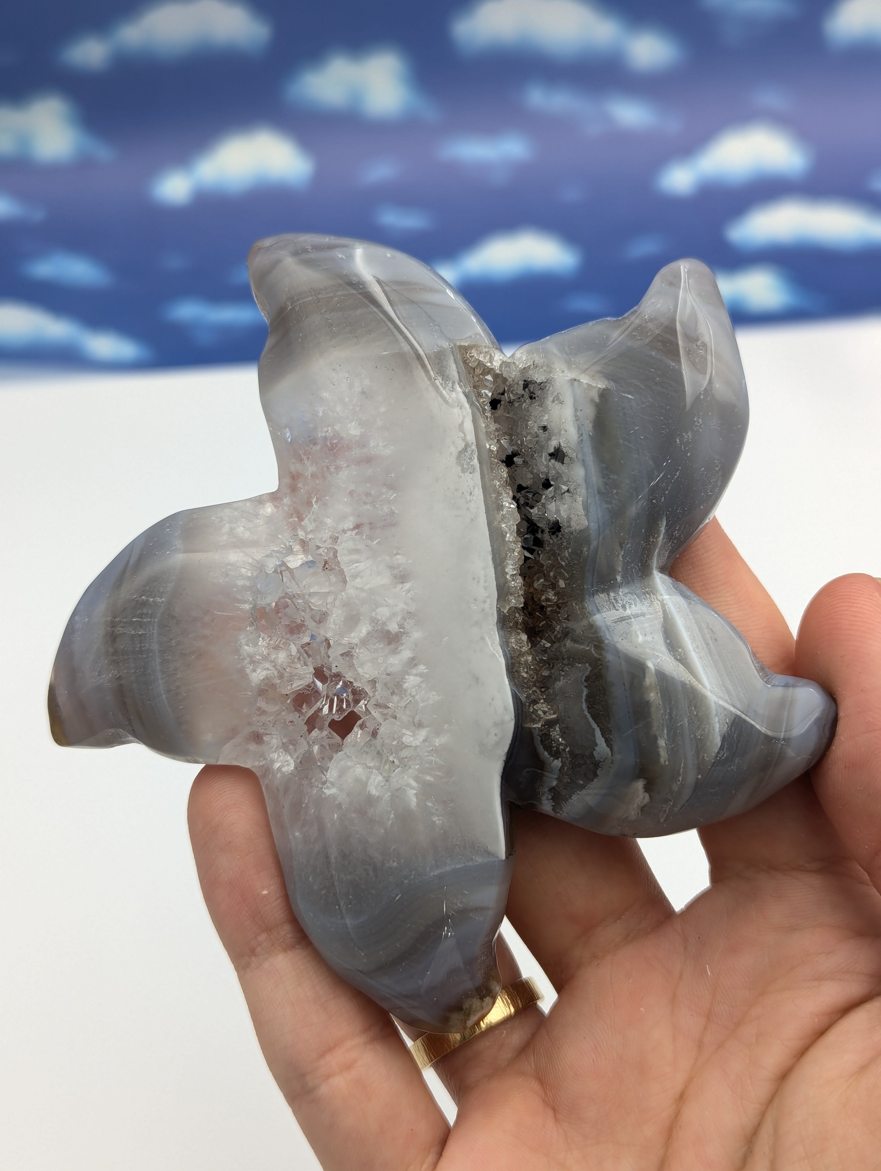 Achat Seestern mit doppelter Druse