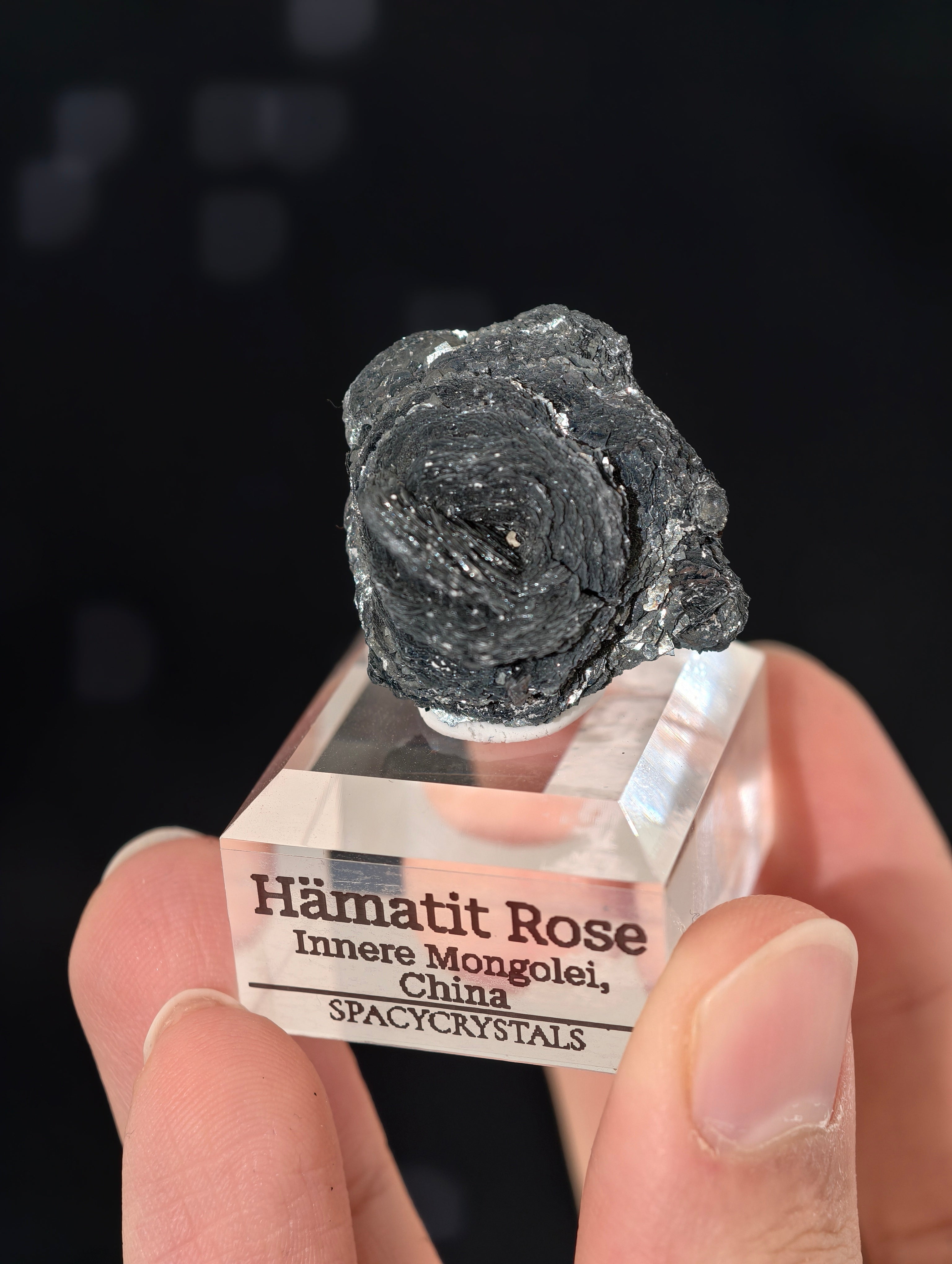 Schwarze Hämatit Rosen, Innere Mongolei, China 🌹