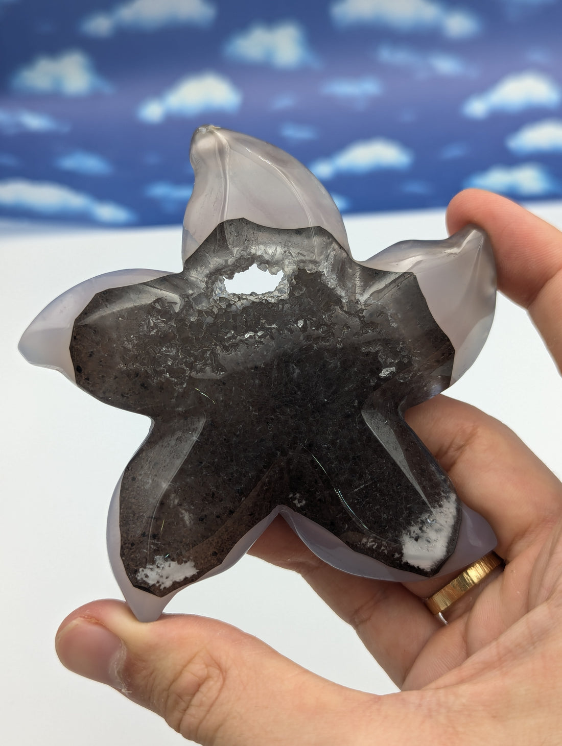 Achat Seestern mit Kristall Druse