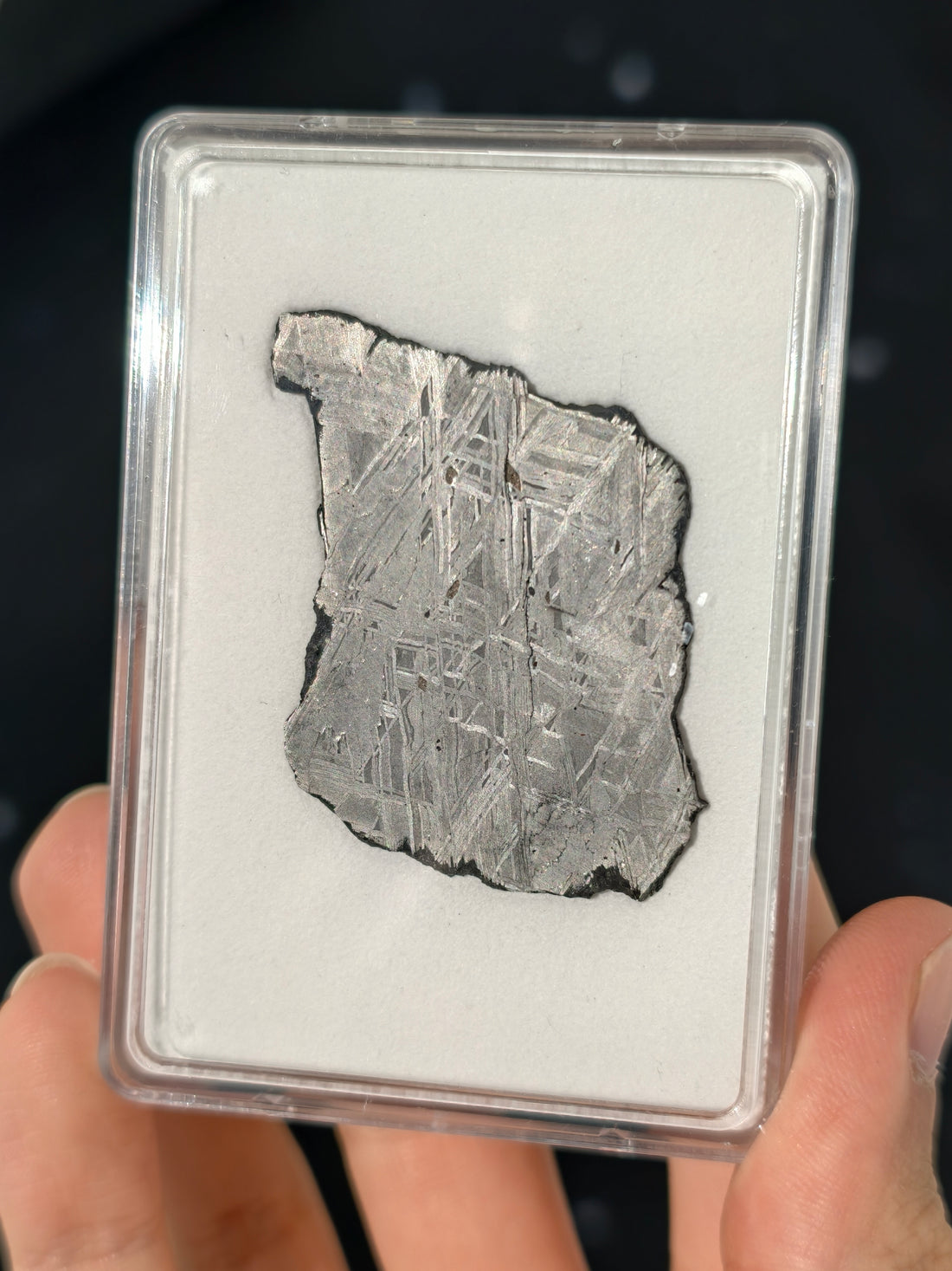 Muonionalusta Meteorit Scheibe 15,1g mit Zertifikat