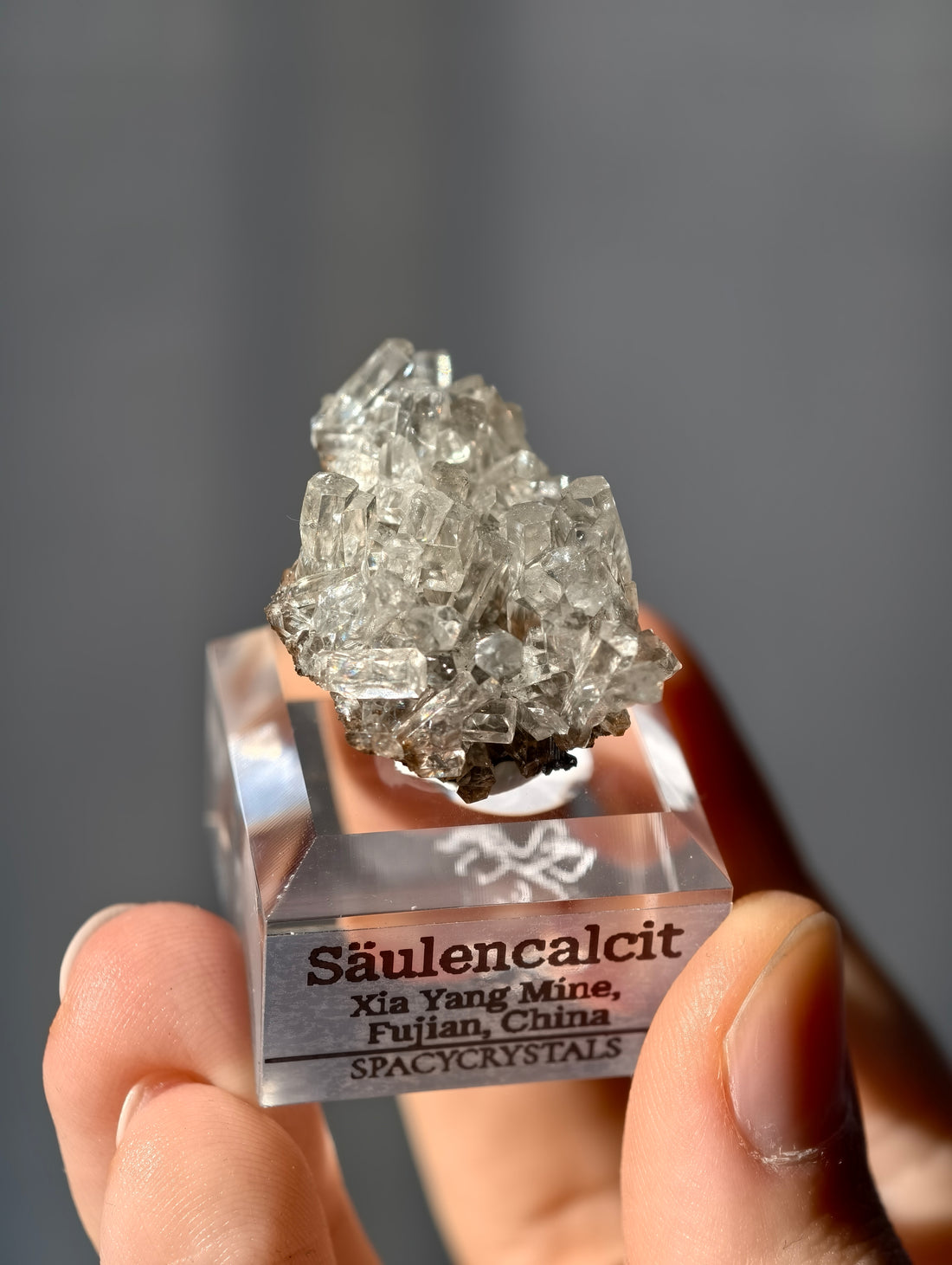 seltener Säulencalcit - Columnar Calcite