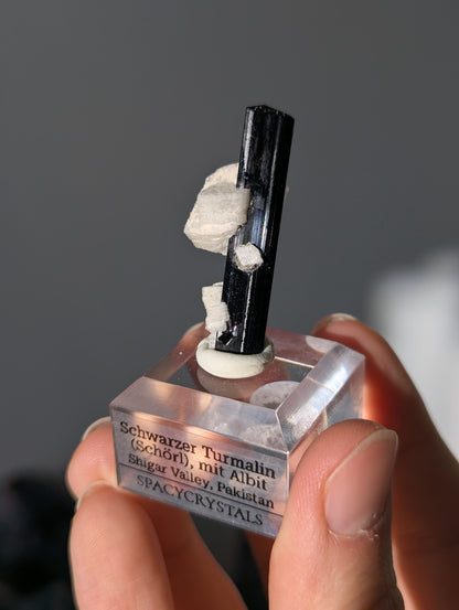 Schwarzer Turmalin (Schörl) mit Albit auf Podest