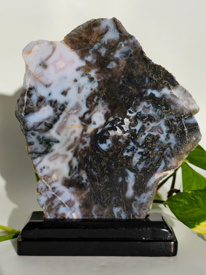 Moosachat Platte auf Holzsockel