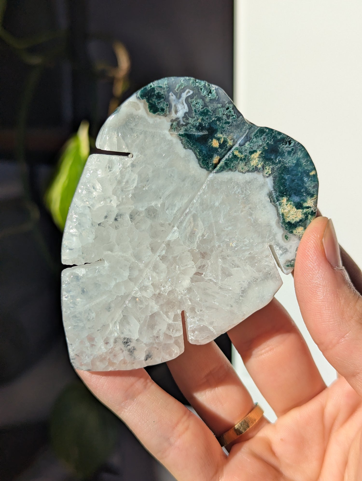 Moosachat Monstera Blatt (wähle dein eigenes)