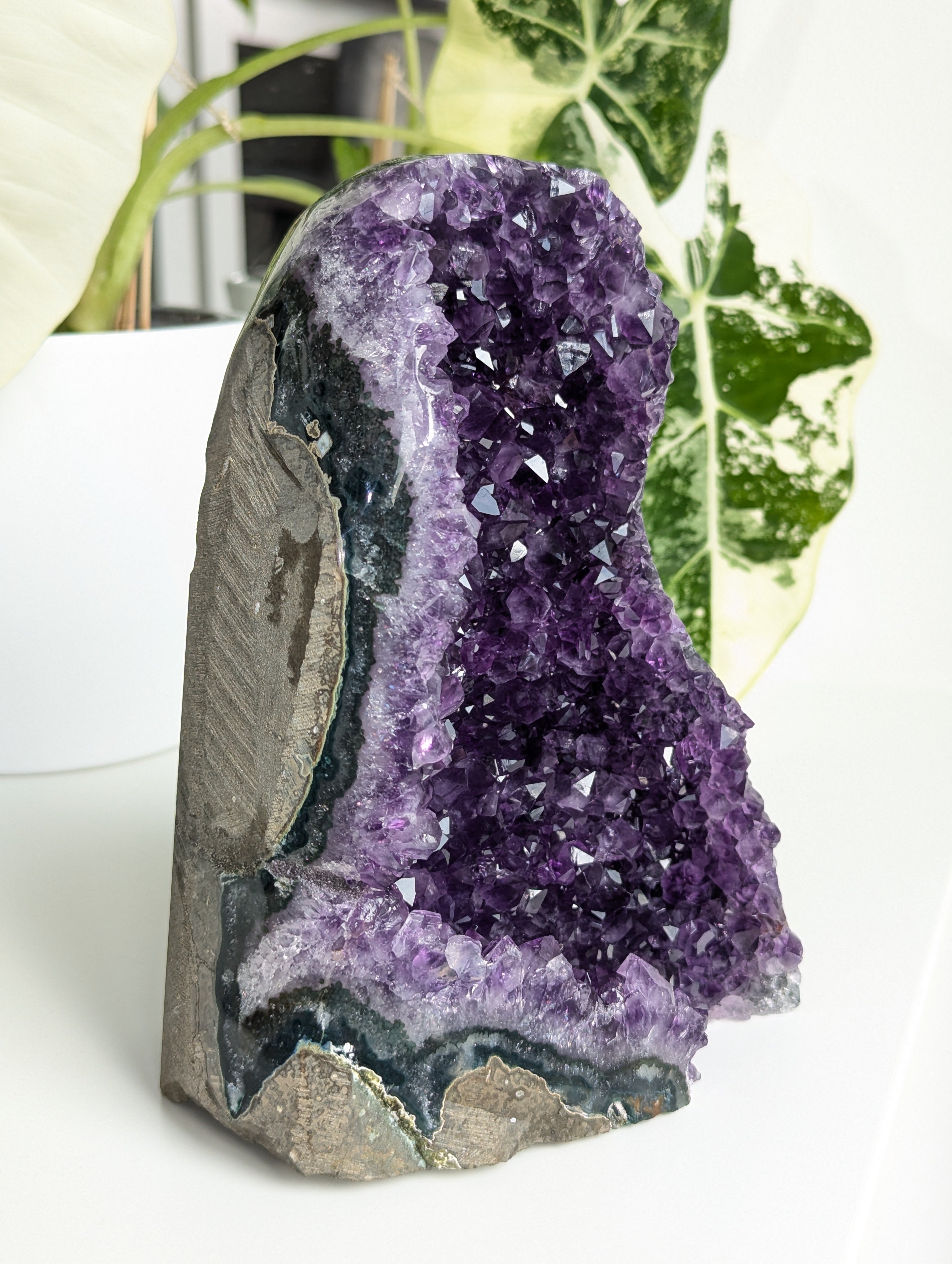 Amethyst Druse AA-Qualität aus Uruguay