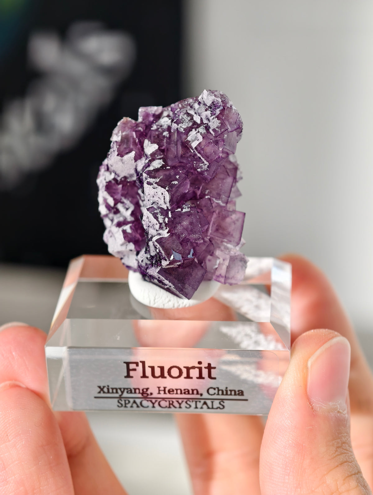 Lila Fluorit Würfel Cluster aus Xinyang