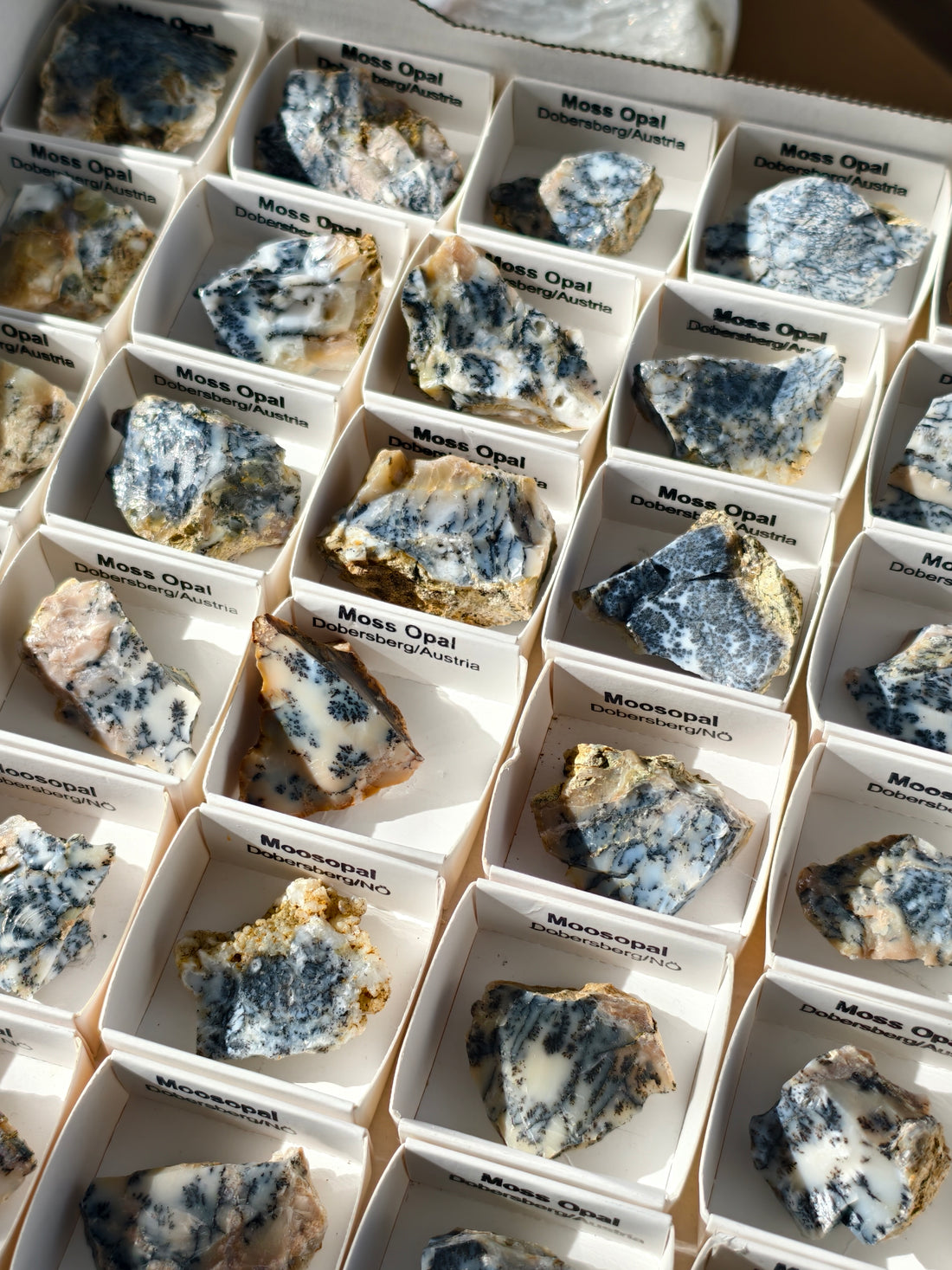 kleiner Moosopal aus Österreich 🇦🇹