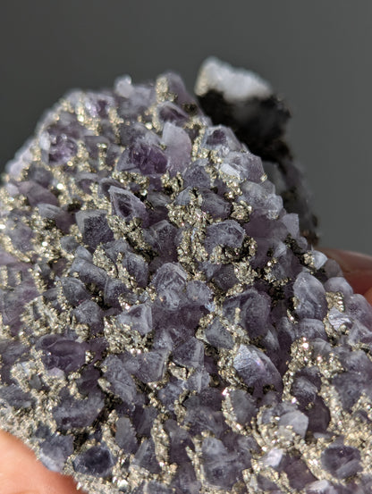 Pyrit auf Amethyst aus Bulgarien ✨