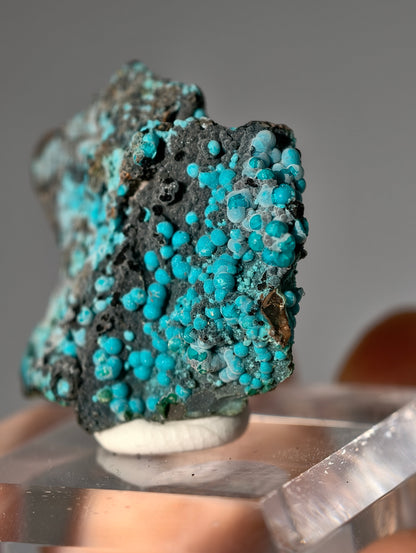 Chrysokoll auf Quarz, Tentadora Mine, Peru