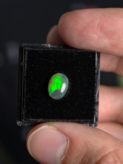 Welo Opal Cabochon in Dose (klein)