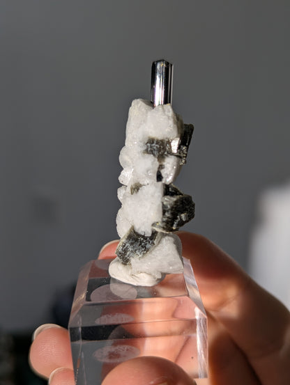 Schwarzer Turmalin (Schörl) mit Albit &amp; Glimmer auf Podest