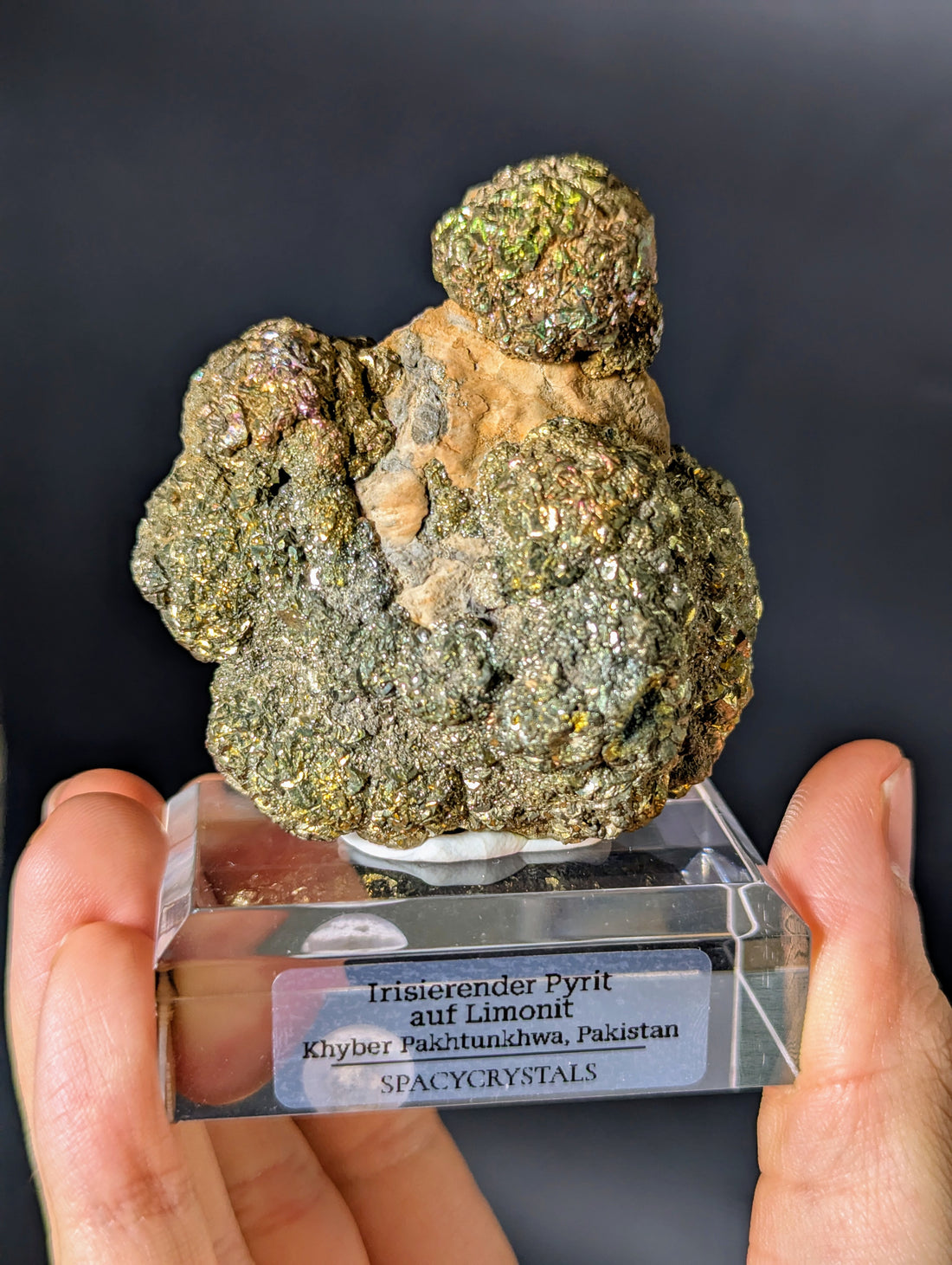 Irisierender Pyrit auf Limonit