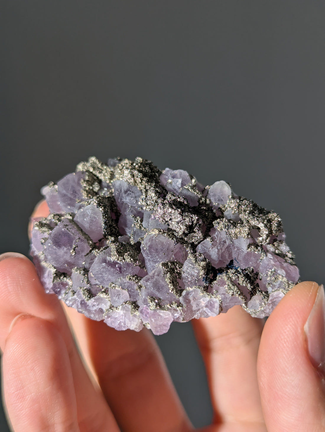 Pyrit auf Amethyst aus Bulgarien ✨