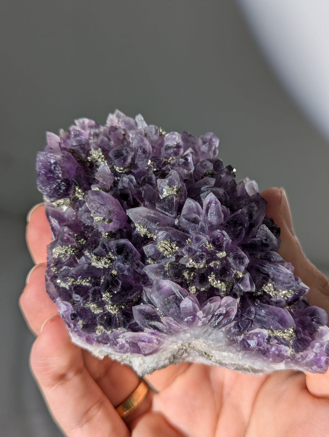 Pyrit auf dunkellila Amethyst aus Bulgarien ✨