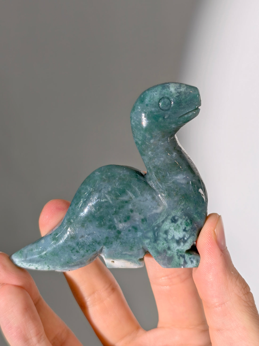 Moosachat Dino 🦕 (Brontosaurus)