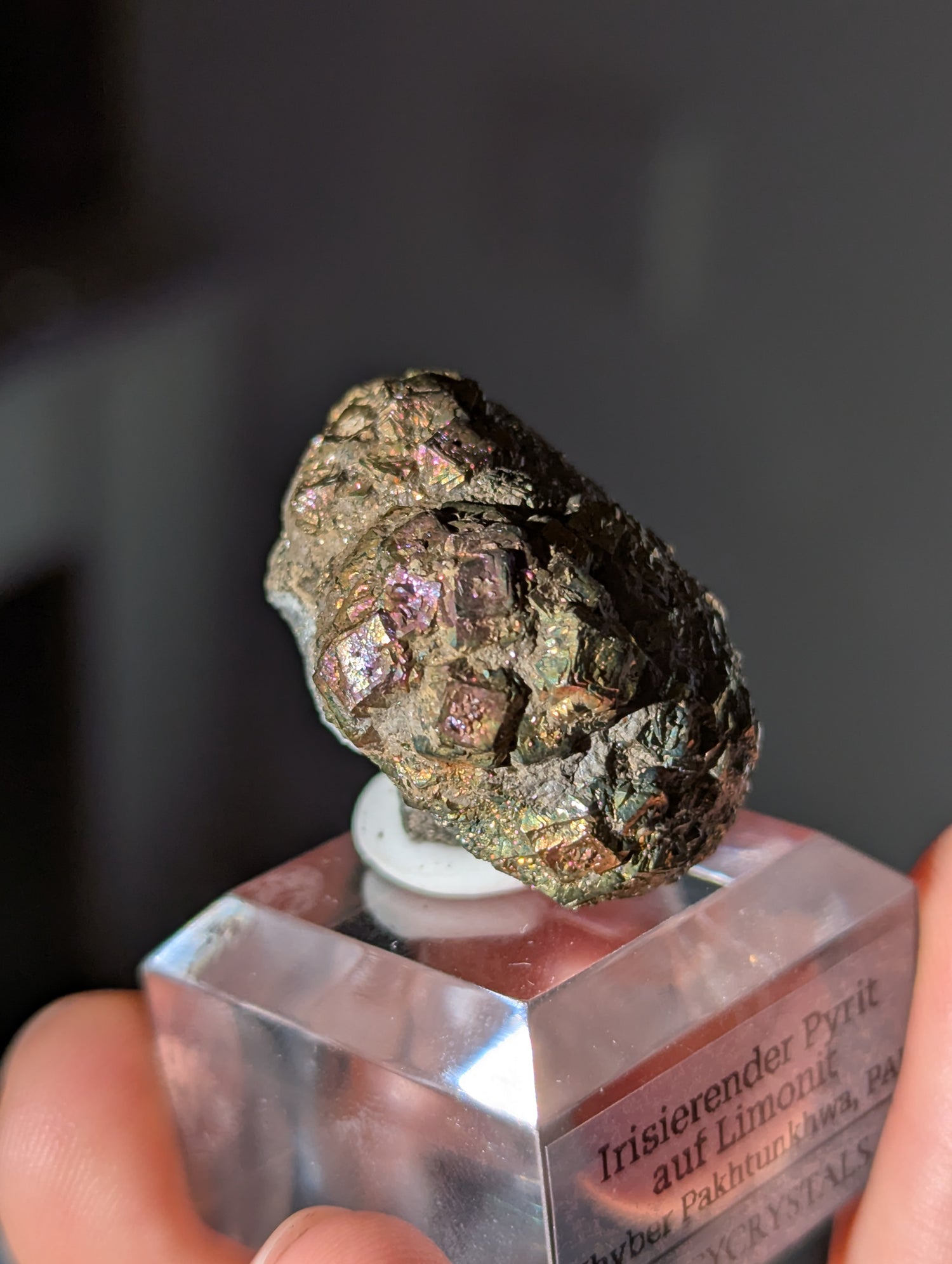 Irisierender Pyrit auf Limonit