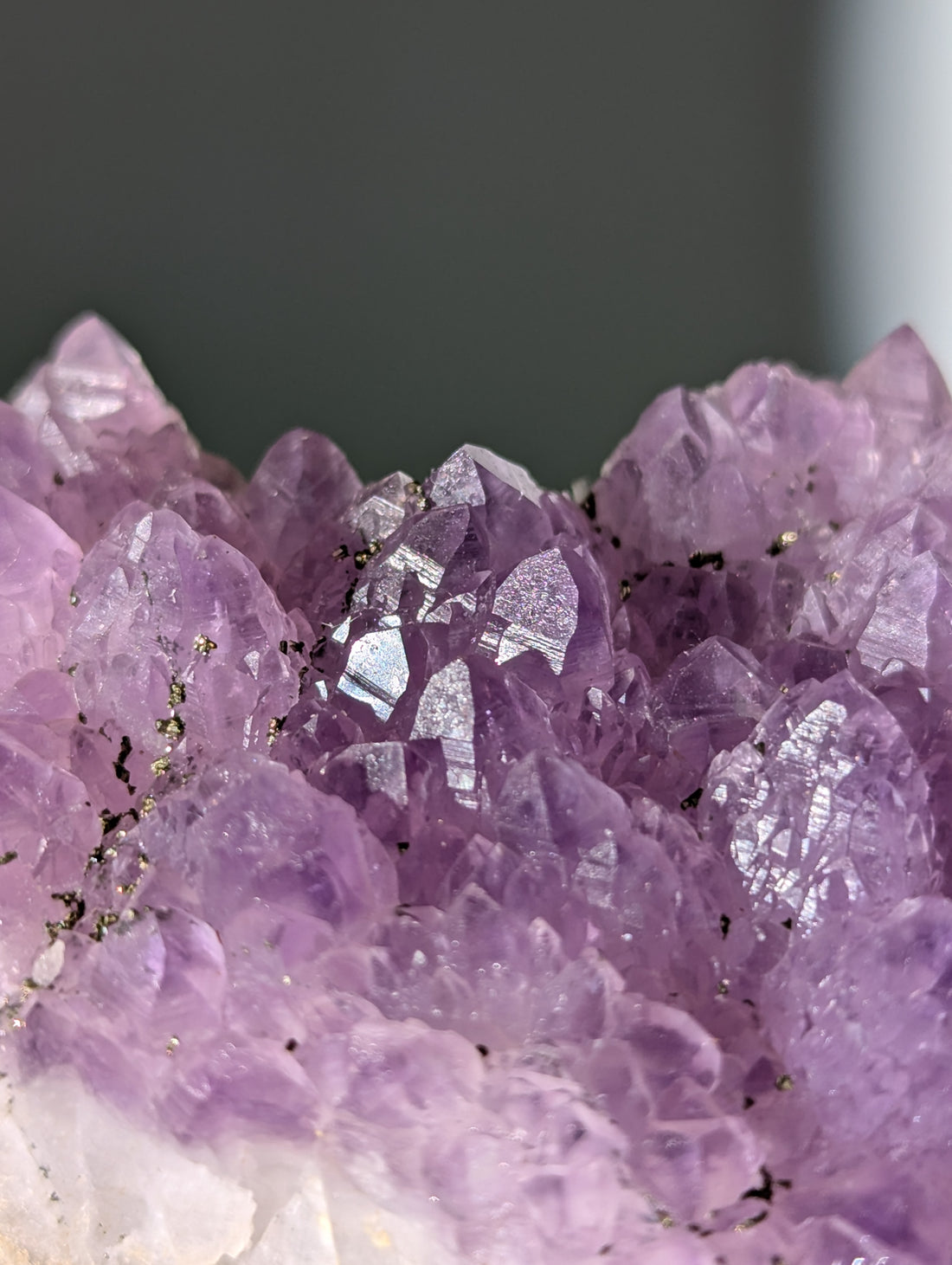 Pyrit auf Amethyst aus Bulgarien ✨