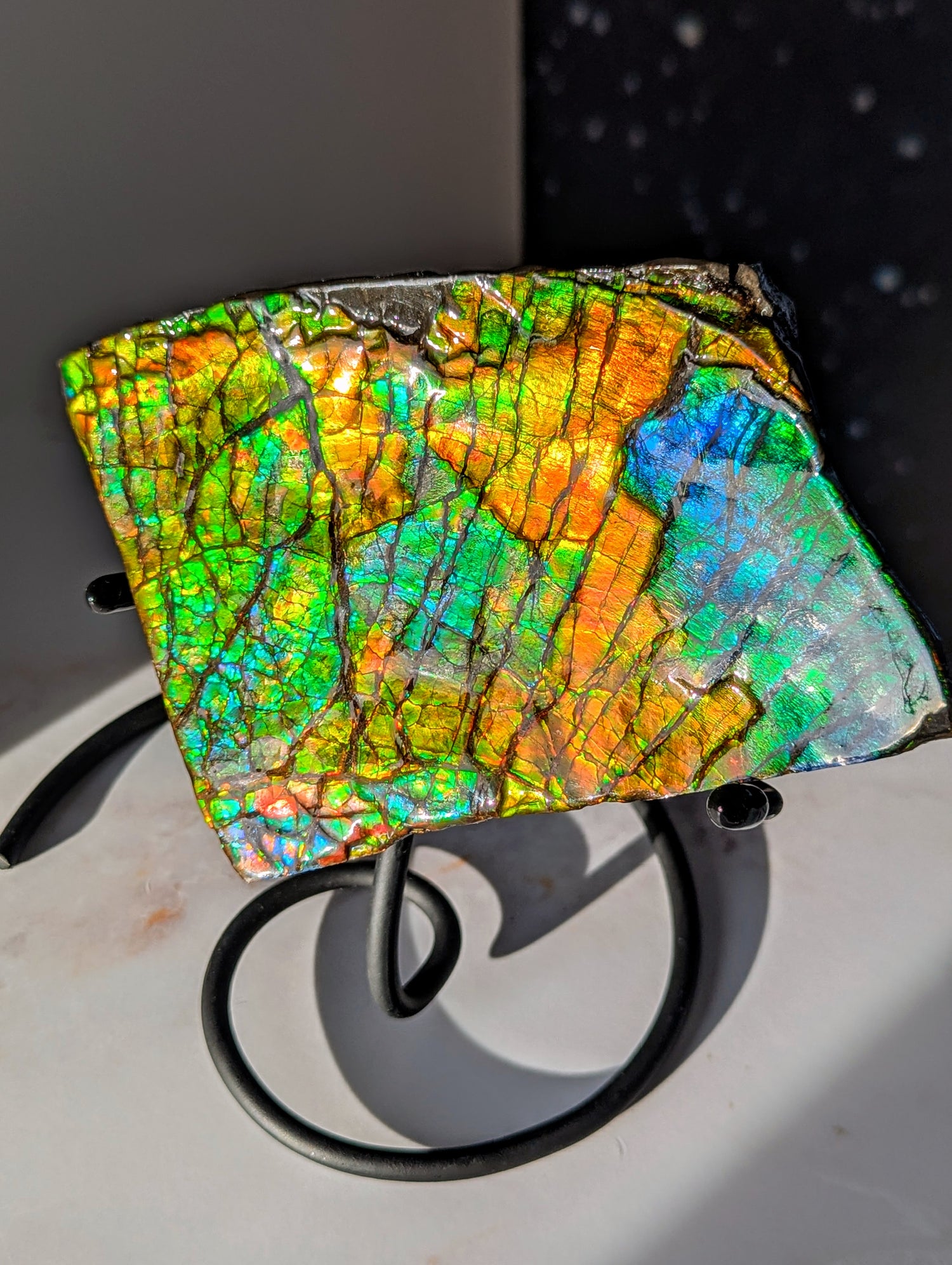 Großer Ammolit auf Ständer mit Farbwechsel aus Kanada