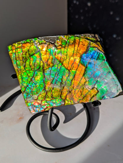 Großer Ammolit auf Ständer mit Farbwechsel aus Kanada