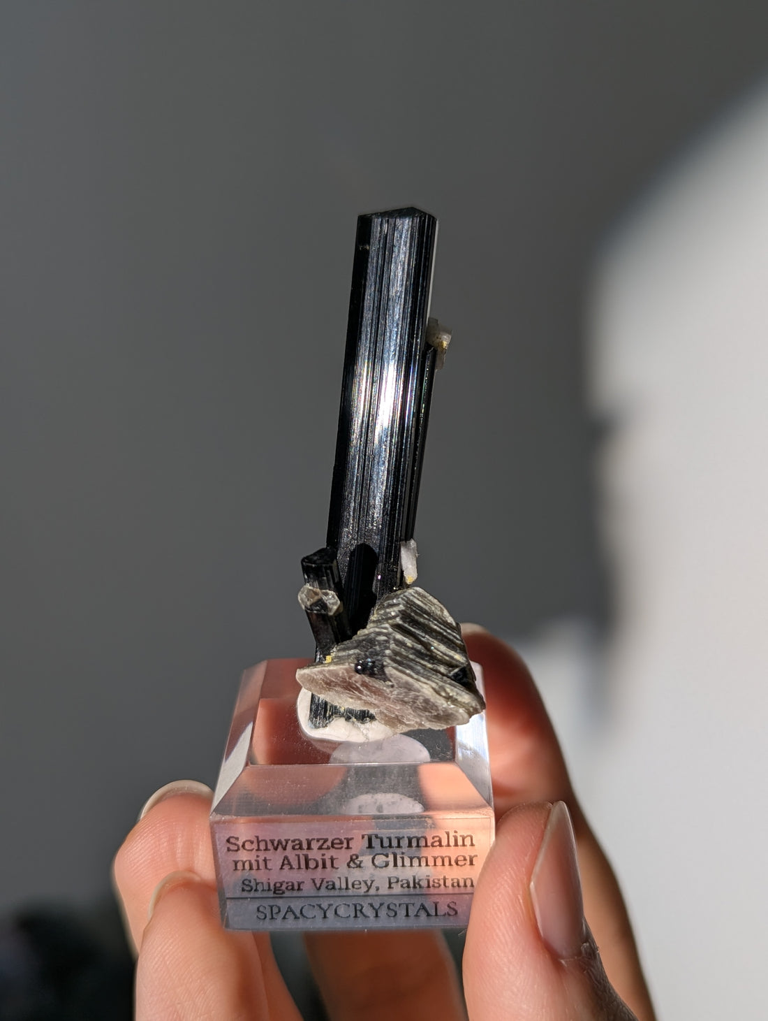 Schwarzer Turmalin (Schörl) mit Albit & Glimmer auf Podest