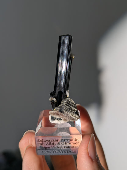 Schwarzer Turmalin (Schörl) mit Albit &amp; Glimmer auf Podest