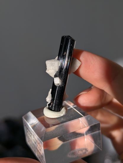 Schwarzer Turmalin (Schörl) mit Albit auf Podest