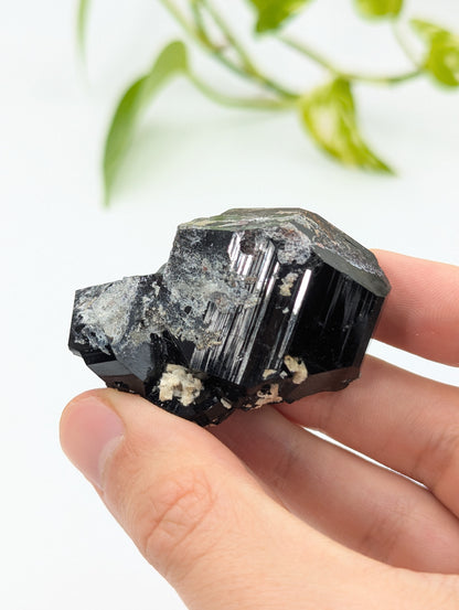 Schwarzer Turmalin (Schörl) aus Erongo IV