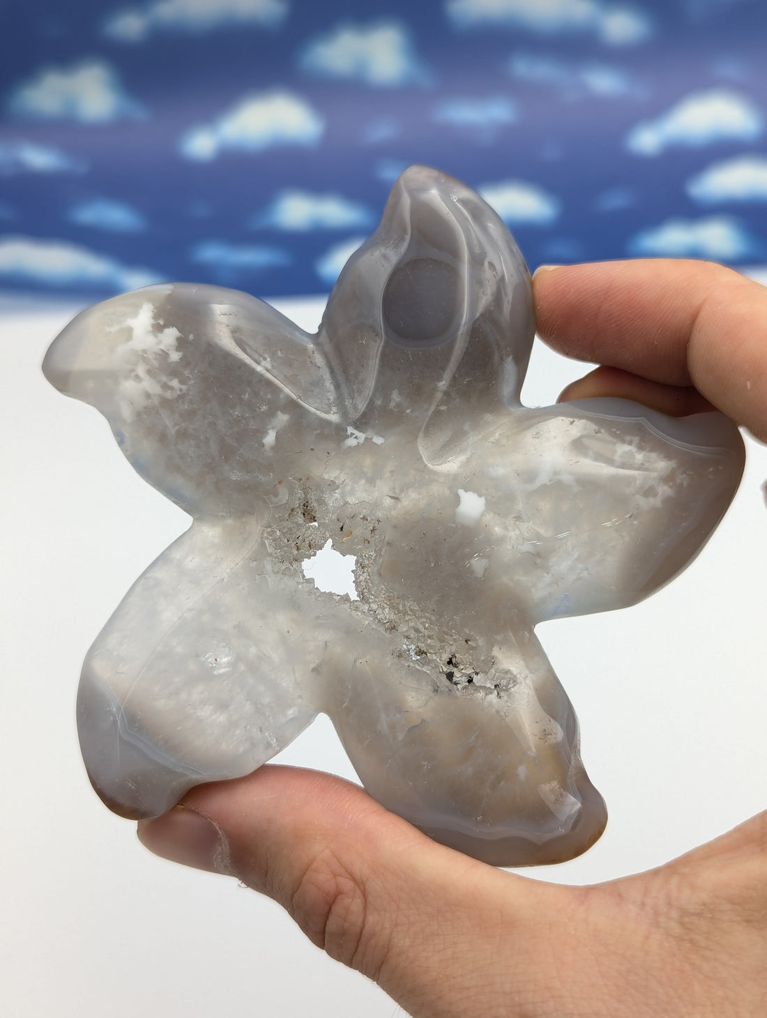 Achat Seestern mit Kristall Druse