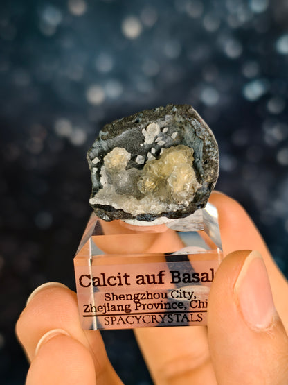 Botryoidaler Calcit auf Basalt - Neuer Fund (klein)